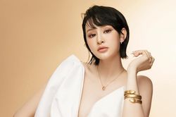Hé lộ mức cát-xê cao 'ngất ngưởng' của Hiền Hồ
