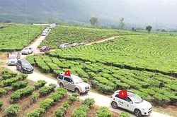 Cả năm không nổi 1.000 người mua ô tô, nhiều tỉnh ngậm ngùi 'chênh lệch quá'