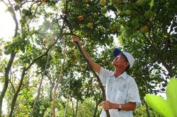 Định hướng nhân rộng nhiều mô hình nông nghiệp hiệu quả