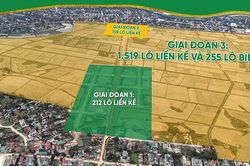 'Xã hội đen' can thiệp đấu giá đất là hình thức cướp tài sản công