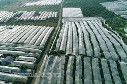 Tăng cường phòng, tránh giông lốc, sét, mưa đá và gió giật mạnh