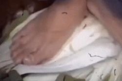 Rùng mình xưởng chế biến nguyên liệu ăn kèm của loại mì tôm nổi tiếng, ở Việt Nam cũng có bán