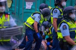New Zealand từ bỏ chứng nhận và nhiệm vụ vaccine Covid, gọi đó là 'một khởi đầu mới'