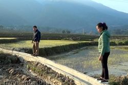 Tuần Giáo phát huy hiệu quả công trình thủy lợi