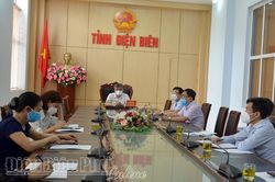 Giao ban trực tuyến công tác phi chính phủ nước ngoài