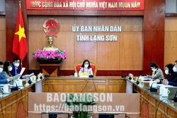 Hội nghị trực tuyến giao ban toàn quốc về công tác phi chính phủ nước ngoàiTin khácThể lệ tổ chức Cuộc thi trắc nghiệm 'Tìm hiểu về tư tưởng, đạo đức, phong cách Hồ Chí Minh' năm 2022Tổng đài viên đặc biệt: Chỗ dựa vững chắc cho F0 điều trị tại nhà