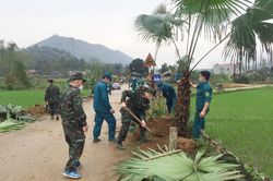 Nghĩa Đô (Bảo Yên) phát động trồng cây cọ tạo cảnh quan du lịch