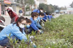 Tuổi trẻ thành phố Ninh Bình: Tiếp tục 'giữ lửa' Tháng Thanh niên