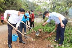 Trồng cây chào mừng thành công Đại hội đại biểu Phụ nữ toàn quốc lần thứ XIII