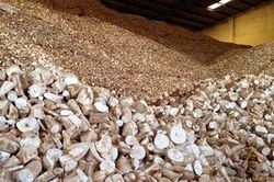 Nghi vấn trong hồ sơ hoàn thuế GTGT của doanh nghiệp xuất khẩu tinh bột sắn