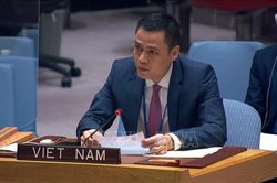 Việt Nam ủng hộ và sẵn sàng tham gia các nỗ lực nhân đạo đối với Ukraine