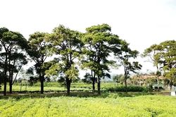 Chuyện ít biết quanh 'cung đường du lịch' Nghĩa Hưng