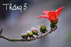 Tháng Ba