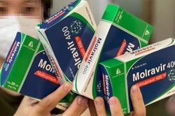 Quên uống Molnupiravir có uống gộp liều được không?