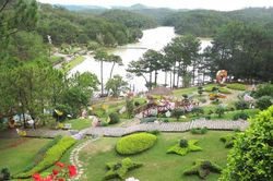 Đà Lạt vào top 3 điểm đến ngắm hoa đẹp nhất thế giới
