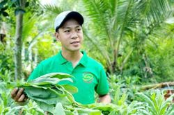 Vĩnh Long phát động cuộc thi Ý tưởng và dự án khởi nghiệp năm 2022