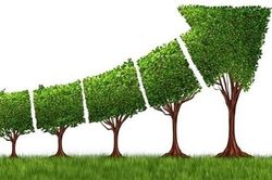 Bổ sung nhiều nội dung đột phá vào kế hoạch tăng trưởng xanh