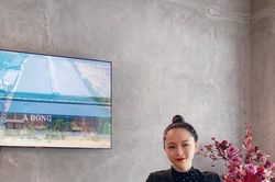Trương Hồ Phương Nga với nhan sắc rạng rỡ sau scandal 'chấn động'
