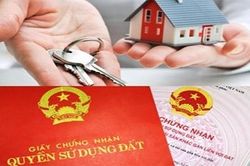 'Trúng quả' nhờ mua đất thế chấp ngân hàng
