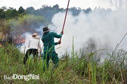 Vườn Quốc gia Cát Tiên nỗ lực canh rừng mùa khô