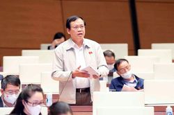 Cần quy định linh hoạt về thời gian, điều kiện tặng, truy tặng Huy chương 'Thanh niên xung phong vẻ vang'