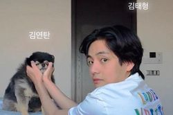 Nhờ chú cún Yeontan, V BTS lọt top được thích nhất Instagram mọi thời đại