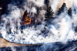 Mỹ: Cháy rừng tại bang Colorado, hơn 1.600 người phải đi sơ tán