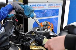 Nghệ An: Tăng cường kiểm tra, giám sát hoạt động kinh doanh xăng dầu