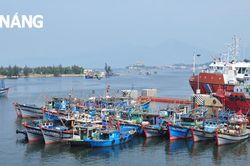 Đề xuất đầu tư 151 tỷ đồng xây tuyến luồng vào bến cảng Thọ Quang