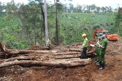 Tạm đình chỉ công tác Chủ tịch UBND xã Lộc Phú