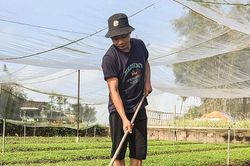 Nhiều mô hình nông dân làm kinh tế giỏi ở Triệu Phong
