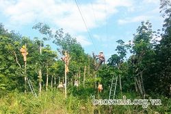 Bảo đảm an toàn hành lang lưới điện