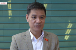 Đại biểu Đinh Ngọc Quý (Gia Lai): Các ý kiến đã đi sâu, đi sát những vấn đề nổi lên