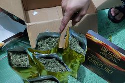 Mua gần nửa cân cần sa qua mạng xã hội để 'liên hoan'