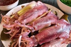 Mực nháy Vũng Áng hút khách đầu mùa