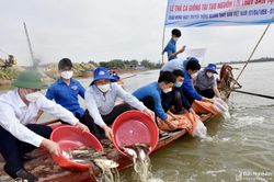 Thả hơn 1 triệu con cá giống xuống sông Lam để tái tạo nguồn lợi thủy sản