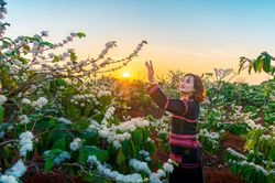 Hương sắc Tây Nguyên