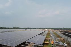Biến đổi khí hậu: Bài toán các doanh nghiệp phải giải hàng năm