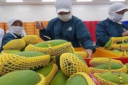 Xúc tiến xuất khẩu nông sản chính ngạch sang Trung Quốc