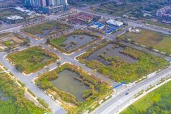 Đề xuất xử phạt nặng trường hợp bỏ cọc đấu giá đất