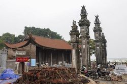 Từ 'cây đa đình Chèm' tới ký ức đô thị