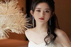 Tiểu Hoa đán Triệu Lệ Dĩnh bị đồn trốn thuế, soi kho 'gia tài' khủng