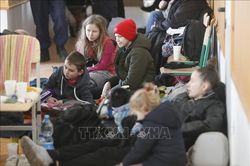 Nga thông báo lệnh ngừng bắn tại Mariupol để sơ tán dân thường