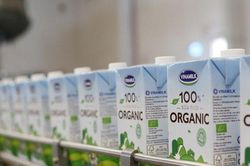 Cổ phiếu Vinamilk bứt phá, chứng khoán tăng điểm
