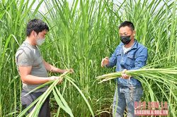 Chuyển biến tích cực từ việc làm theo Bác