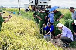Bẫy chuột gây chết người, thanh niên giấu thi thể nạn nhân rồi về ngủ