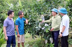 Mường Ảng vững bước phát triển
