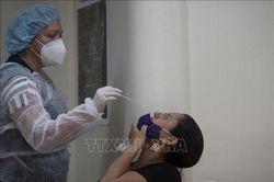 Thế giới Thế giới Biến thể phụ BA.2 đang chiếm ưu thế từ Ấn Độ cho đến Mỹ