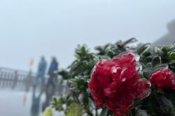 Băng giá phủ đỉnh Fansipan