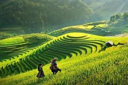 Du lịch xanh nâng tầm thương hiệu quốc gia